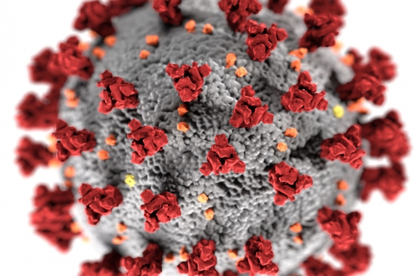 0001_coronavirus_1660223221-7110e6c4e26267cb636b12d5bb48837a.jpg