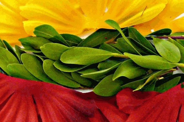 0001_liepos-6_1625461721-96bc51434e1a71eca47d767b0cafffee.png