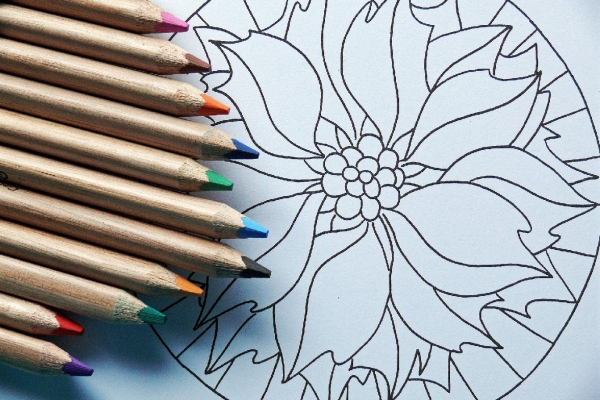 0001_mandala_1574835550-6fd1500d8b2c3ab5171b81a3bc499210.jpg