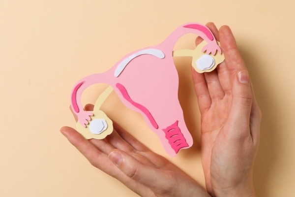 0001_women-s-health-women-s-healthcare-concept-with-uterus_1769174682-10d755403f00b5a04a99b46d845e826f.JPG