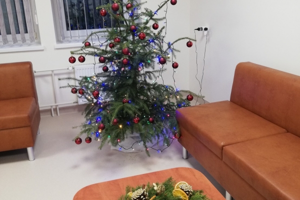 0017_2021-12-16_likenai_rpl-17_1639641900-1ac6ed53914b2b6658b9e0efff97cbe8.jpg