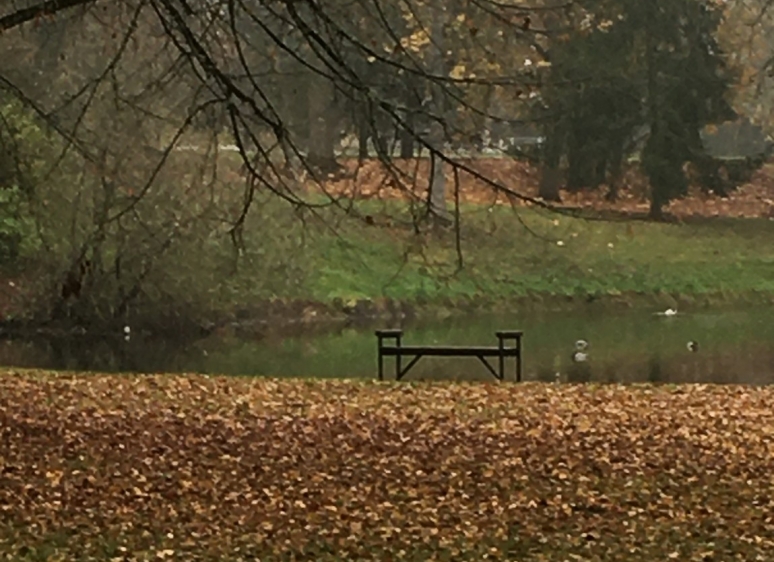 Likėnų reabilitacijos ligoninės parkas 13