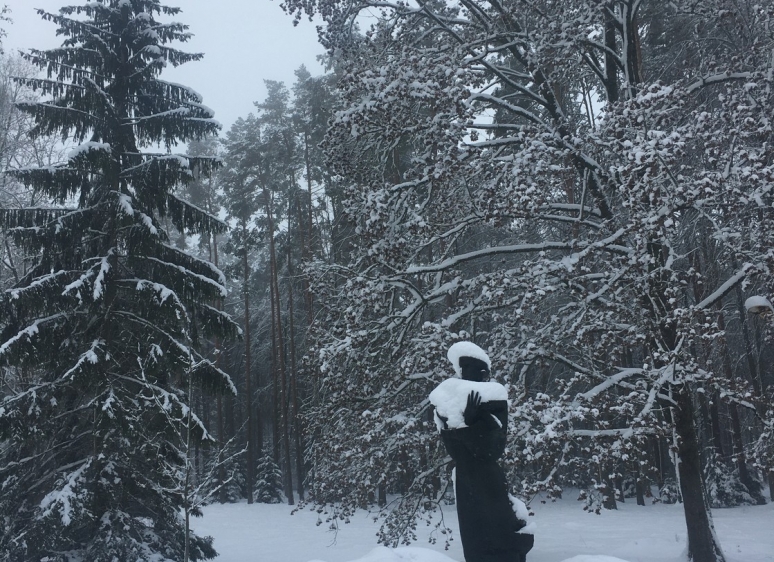 Likėnų reabilitacijos ligoninės parkas 30