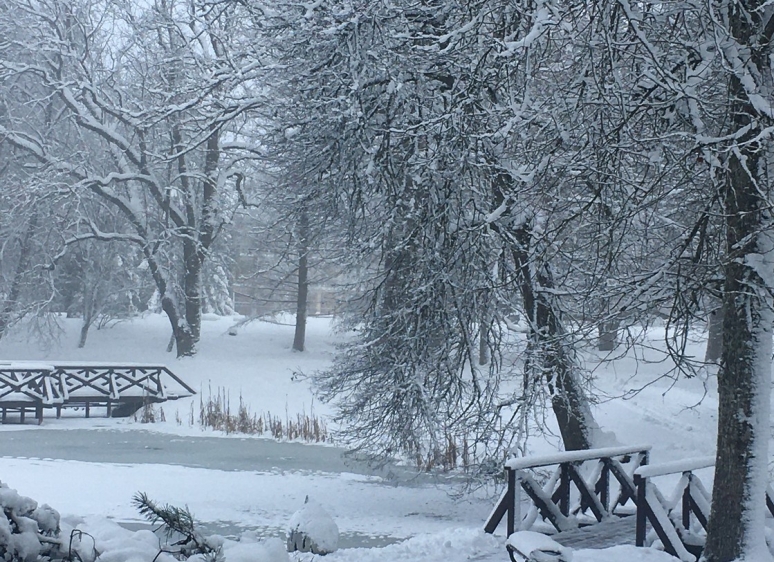 Likėnų reabilitacijos ligoninės parkas 34