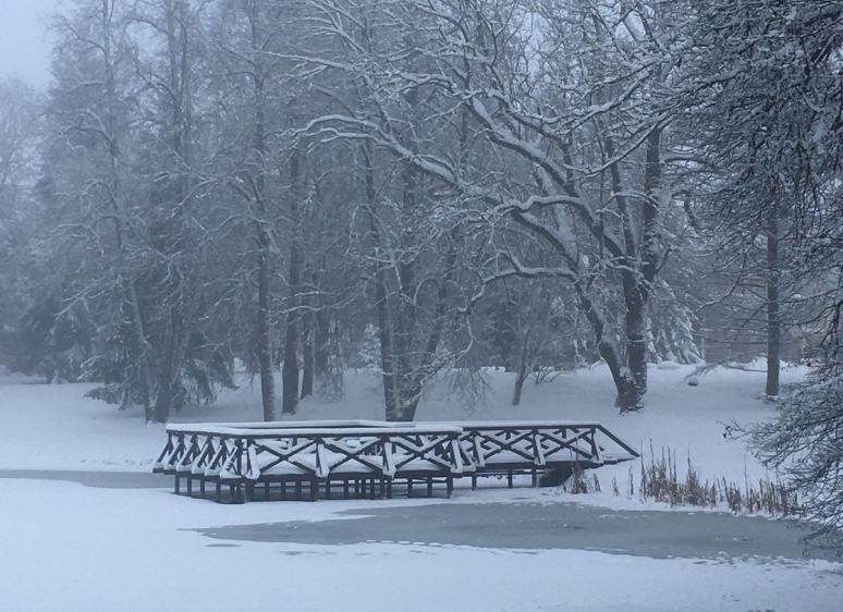 Likėnų reabilitacijos ligoninės parkas 35