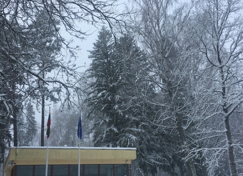 Likėnų reabilitacijos ligoninės parkas 36