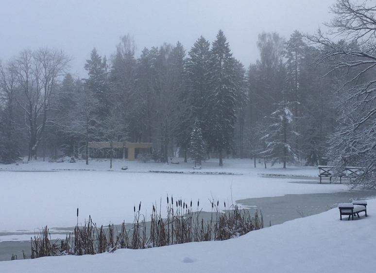 Likėnų reabilitacijos ligoninės parkas 22