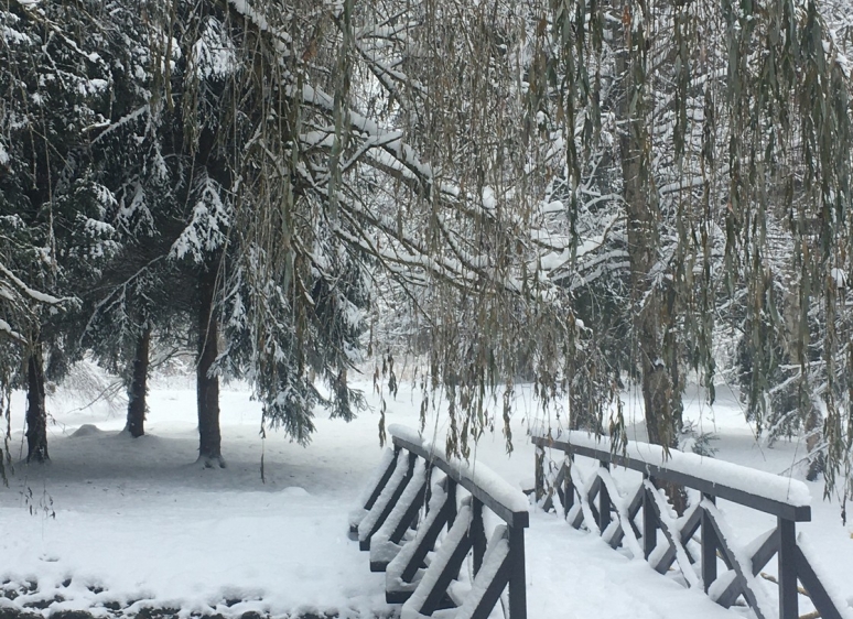 Likėnų reabilitacijos ligoninės parkas 27